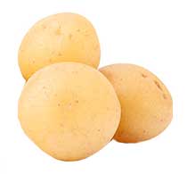tyson seed potato